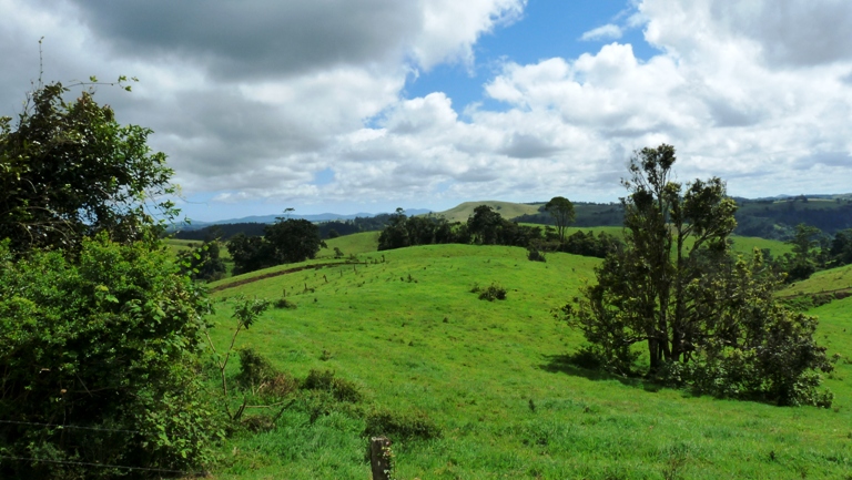 Landschaft in den Atherton Tablelands
